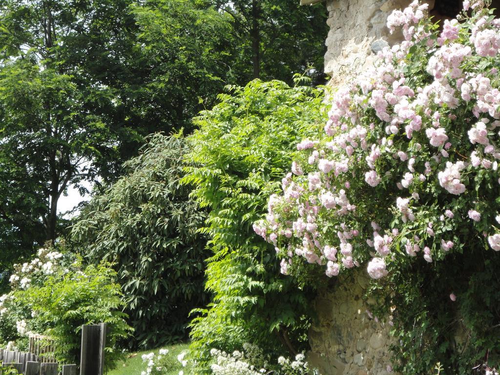 Un Gite De Charme En Haute Provence Villa Sigoyer  Room photo