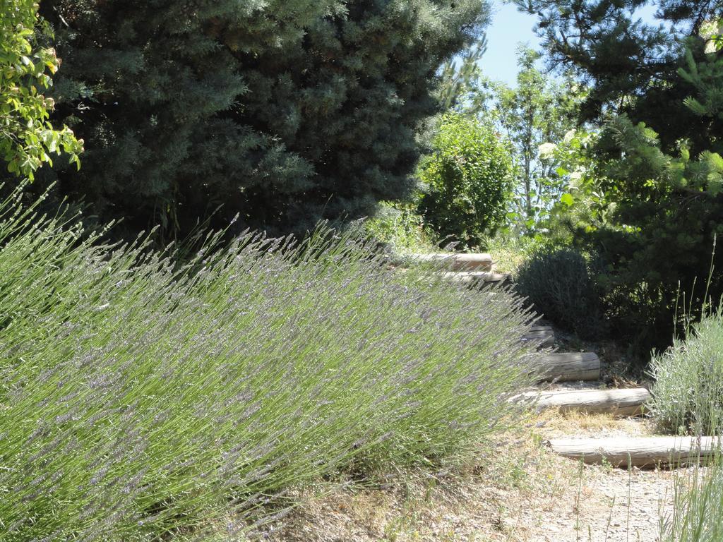 Un Gite De Charme En Haute Provence Villa Sigoyer  Room photo